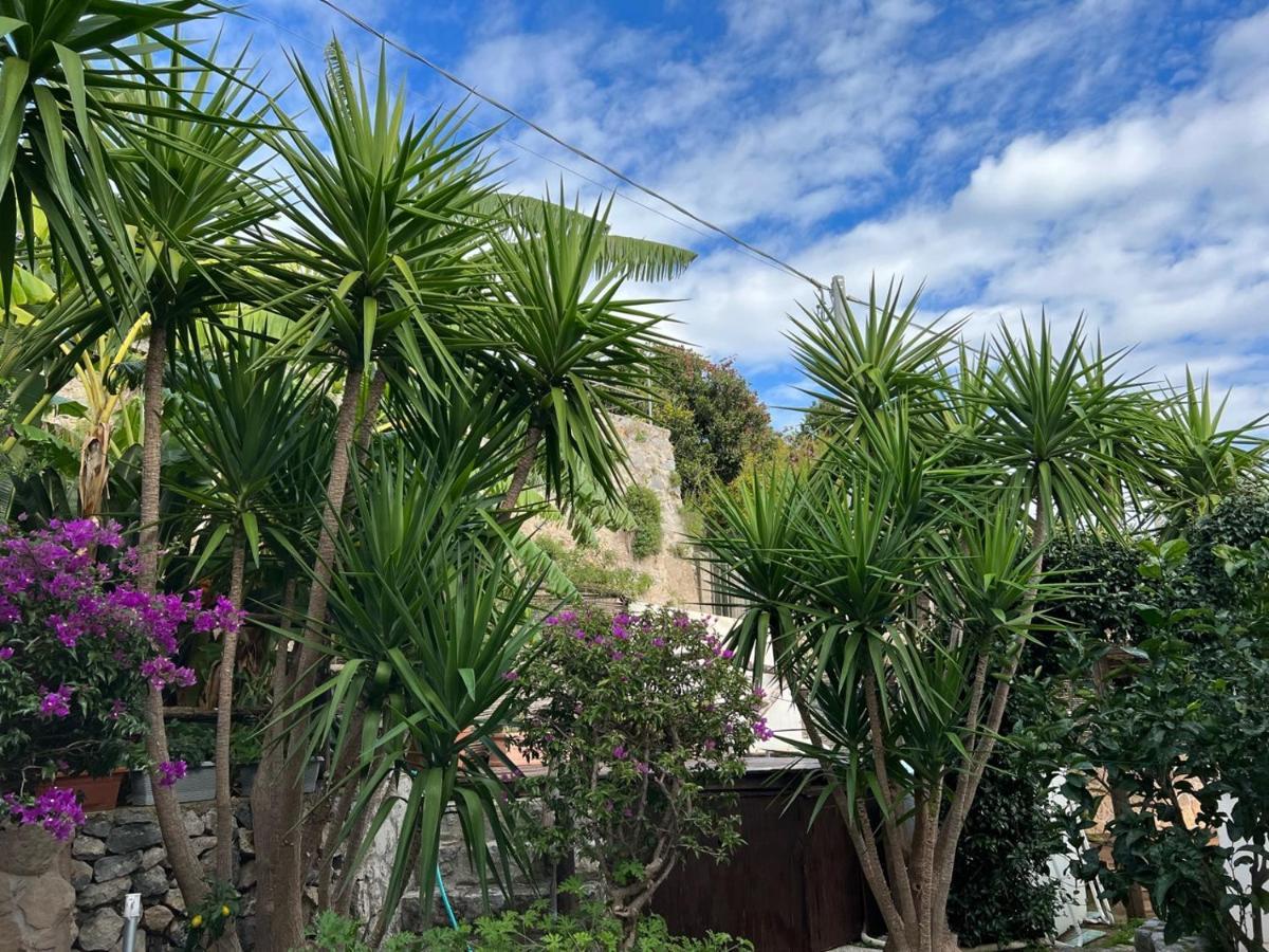 הוילה קונקה דיי מריני Blue Dream - Amalfi Coast מראה חיצוני תמונה