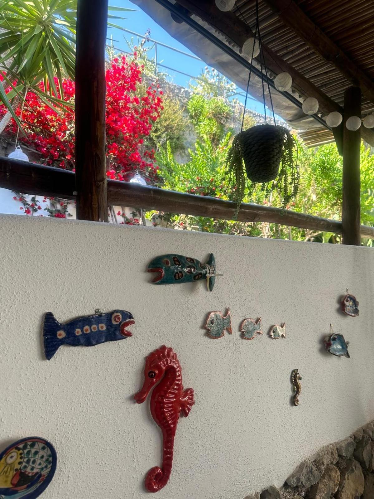 הוילה קונקה דיי מריני Blue Dream - Amalfi Coast מראה חיצוני תמונה