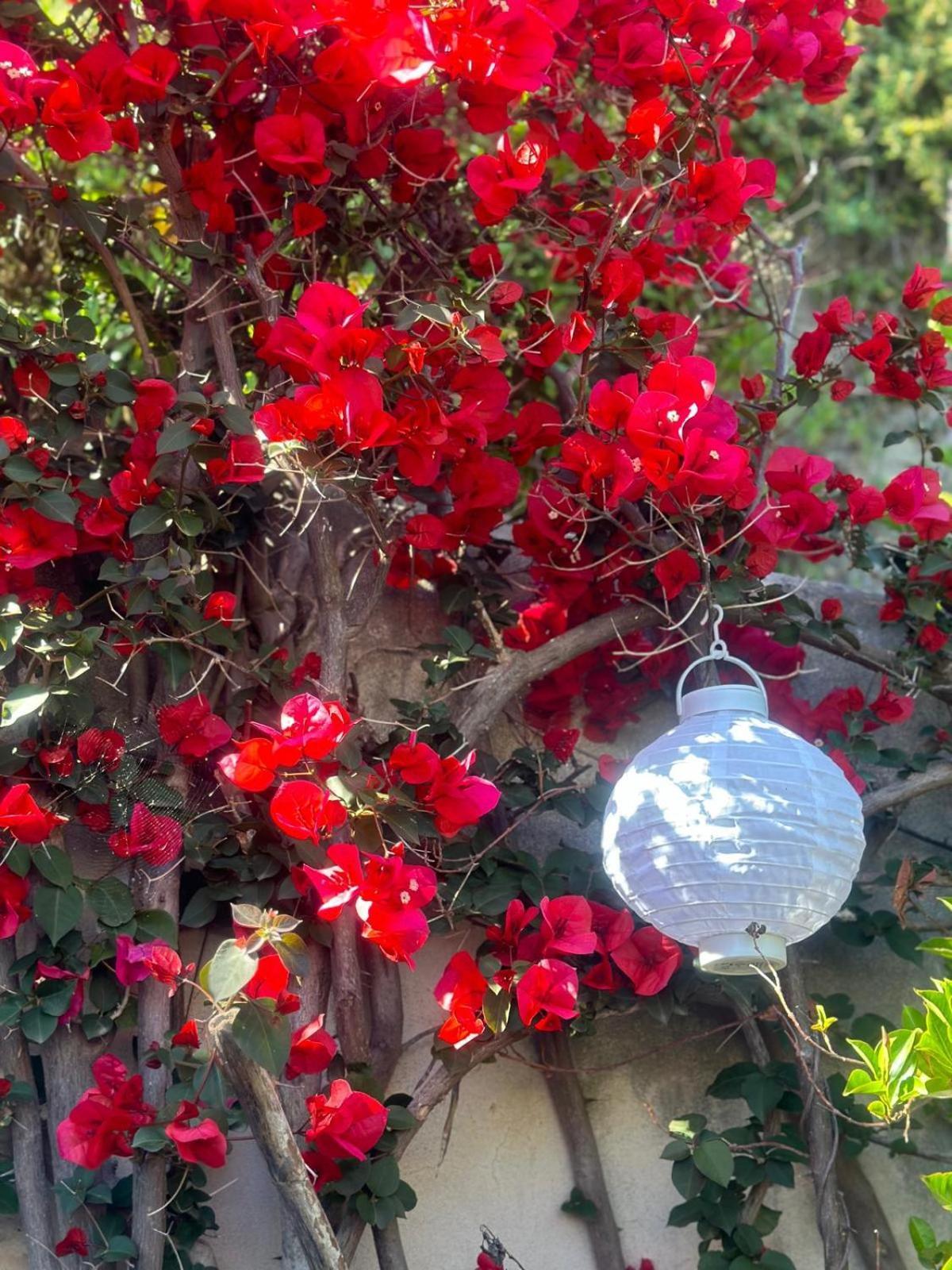 הוילה קונקה דיי מריני Blue Dream - Amalfi Coast מראה חיצוני תמונה
